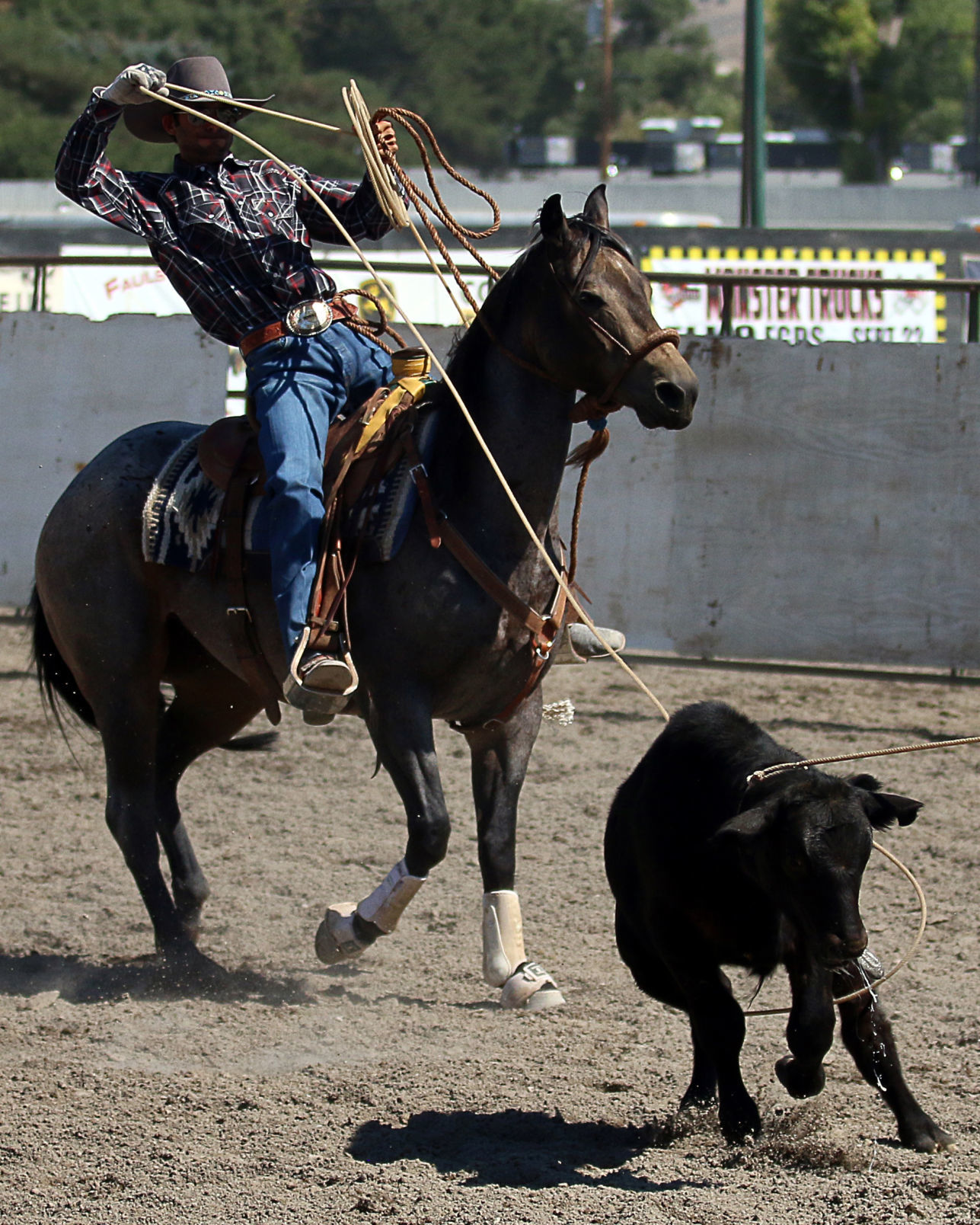 2018 Elko County Fair Open Branding Finals (32).JPG